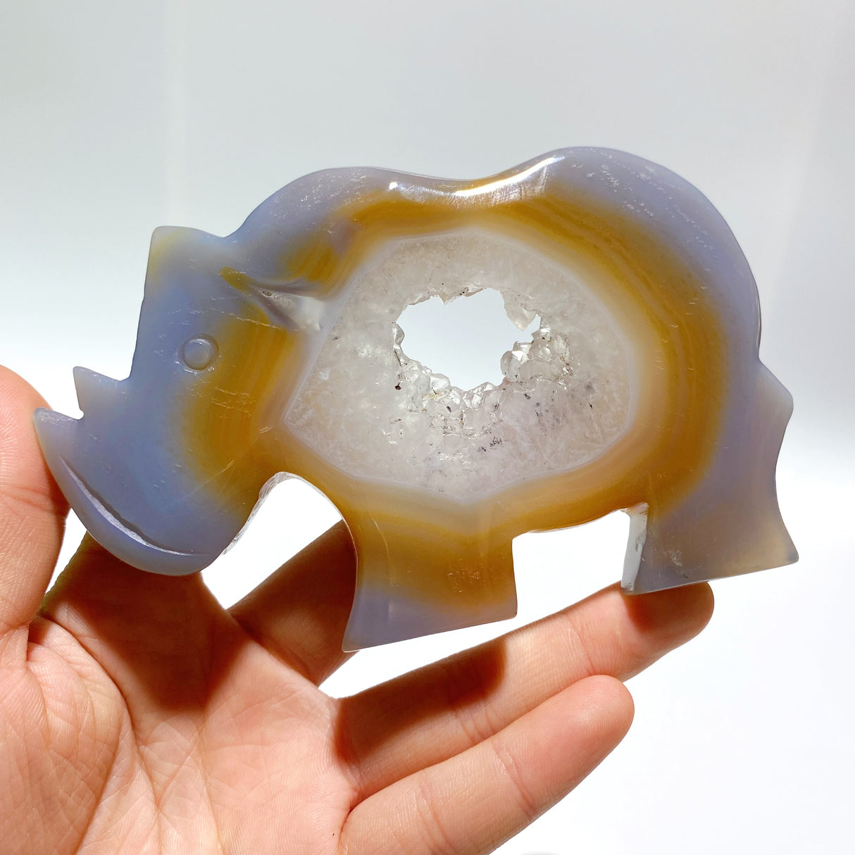 7 Pieces Geode Druzy Agate Rhino Carving