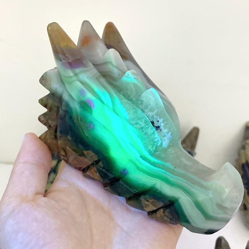 10 Pieces Volcanic Agate Dragon Head Carving Closeout(UV - Reactive) - Wholesale Crystals