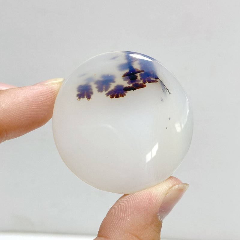 11 Pieces Natural Rare Scenic Dendritic Agate Stone -Wholesale Crystals