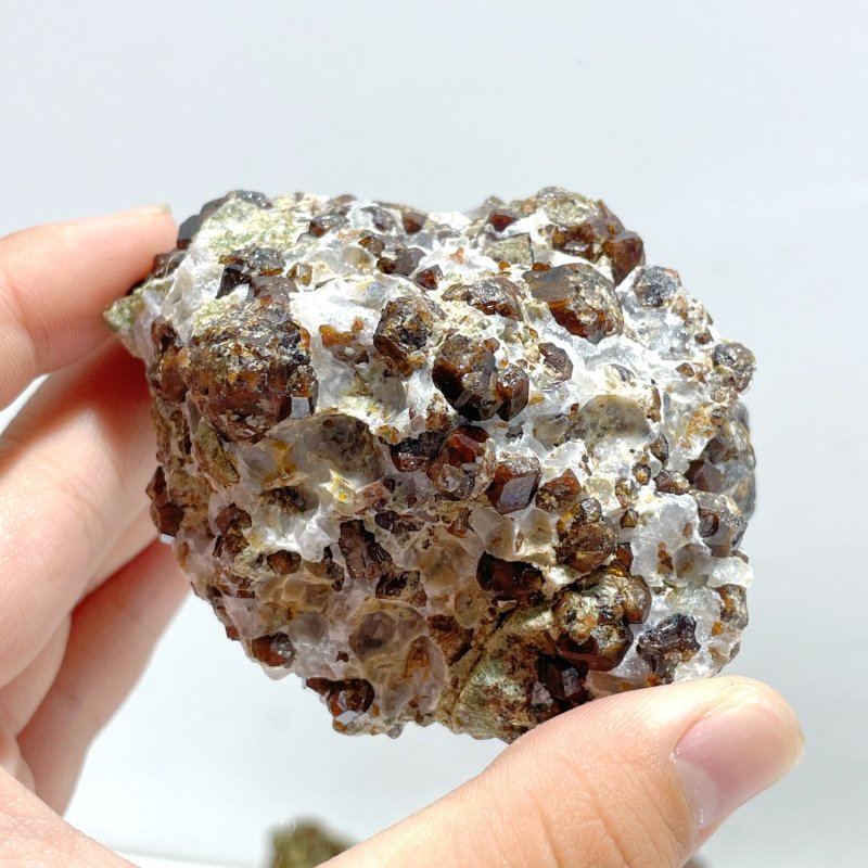 11 Pieces Raw Garnet Specimen For Collection - Wholesale Crystals