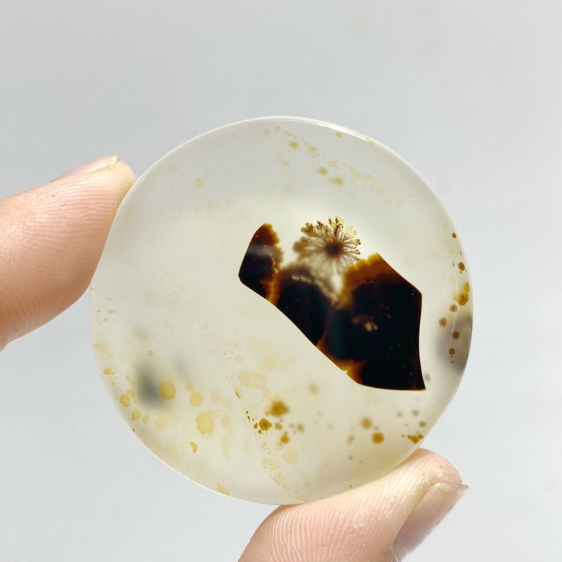 12 Pieces Natural Rare Scenic Dendritic Agate Stone - Wholesale Crystals