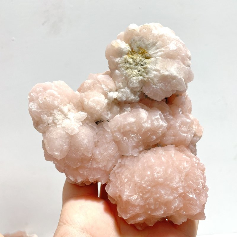 14 Pieces Raw Pink Quartz Specimen - Wholesale Crystals