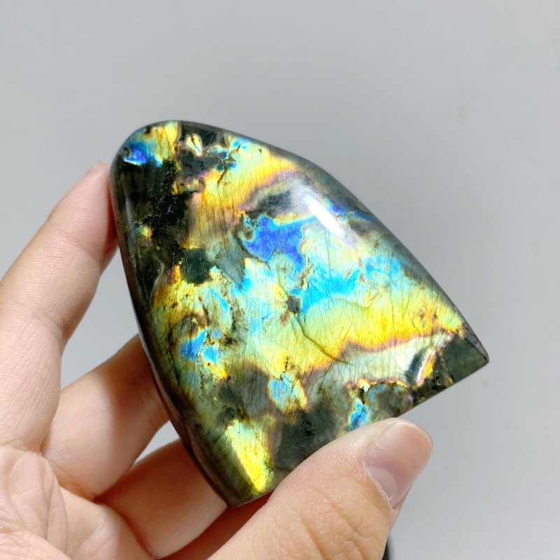 15 Pieces Labradorite Polished Free Form -Wholesale Crystals