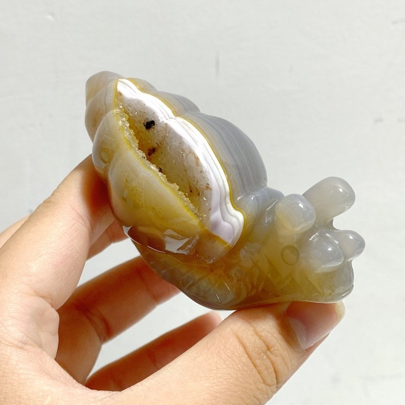 18 Pieces Geode Druzy Agate Snail Carving - Wholesale Crystals