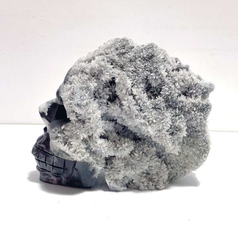 3 Pieces Black Clear Quartz Cluster Skull Carving - Wholesale Crystals