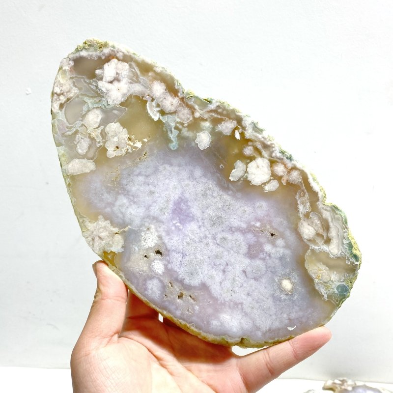 5 Pieces Beautiful Large Green Sakura Flower Agate Slabs - Wholesale Crystals