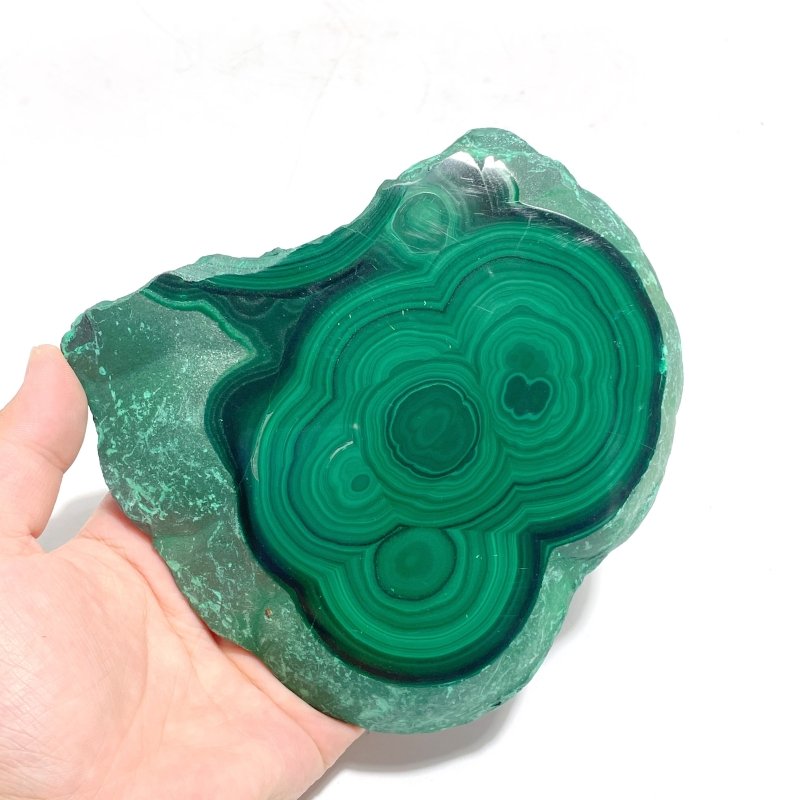 5 Pieces High Quality Malachite Specimen With Stand - Wholesale Crystals