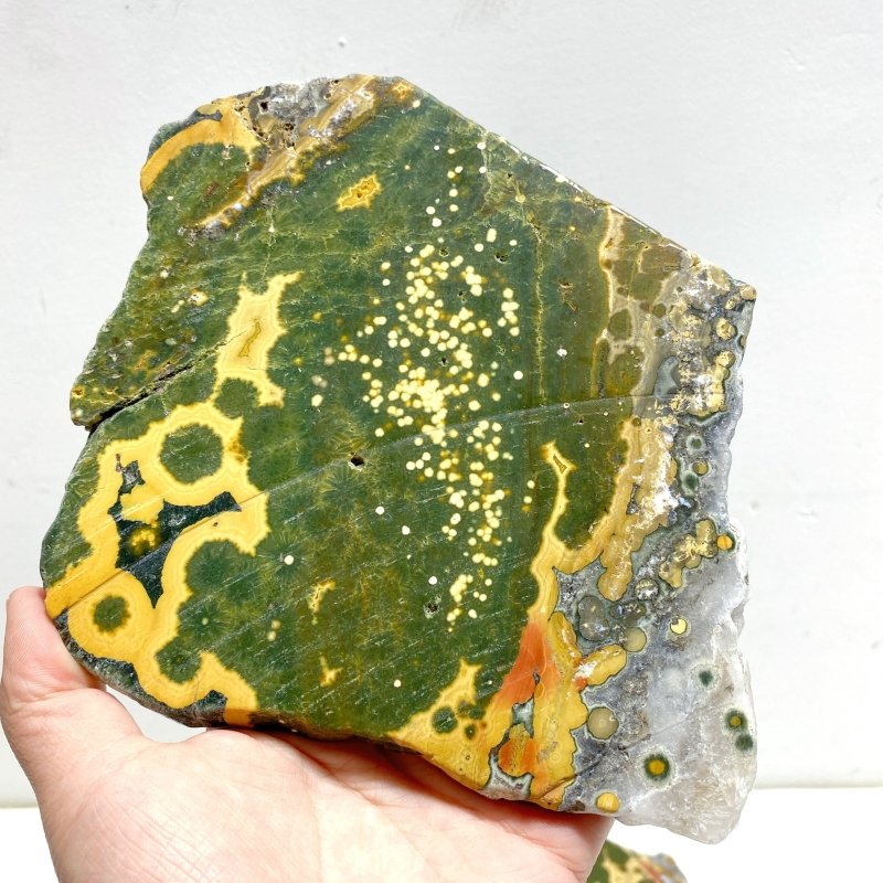 5 Pieces Large 8th Vein Ocean Jasper Slabs - Wholesale Crystals