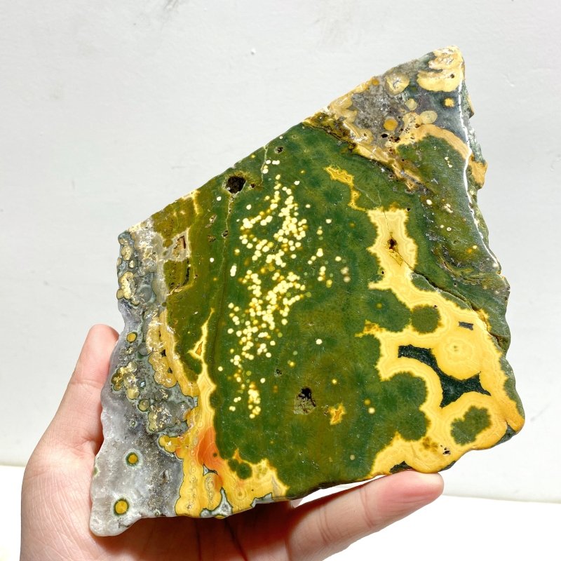 6 Pieces Large 8th Vein Ocean Jasper Slabs - Wholesale Crystals