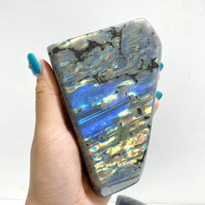 6 Pieces Large Beautiful Polished Labradorite Free Form - Wholesale Crystals