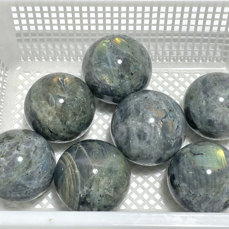 7 Pieces Large Labradorite Spheres Clearance - Wholesale Crystals