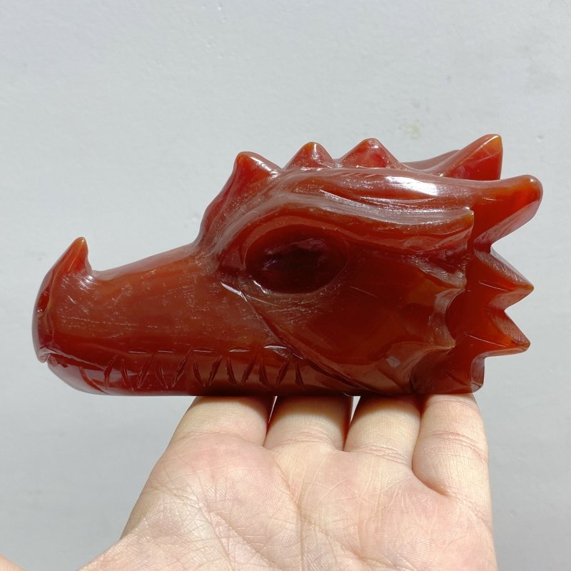 8 Pieces Carnelian Dragon Head Carving -Wholesale Crystals