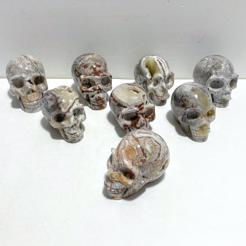 8 Pieces Geode Druzy Morocco Agate Skull Carving 1 - Wholesale Crystals