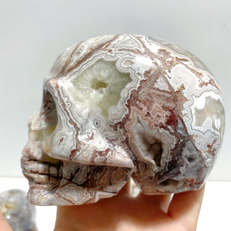 8 Pieces Geode Druzy Morocco Agate Skull Carving 4 - Wholesale Crystals