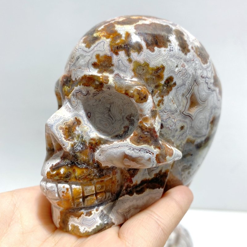 8 Pieces Geode Druzy Morocco Agate Skull Carving 4 - Wholesale Crystals