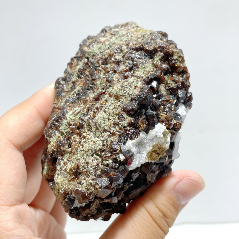 8 Pieces Raw Garnet Specimen 1 - Wholesale Crystals