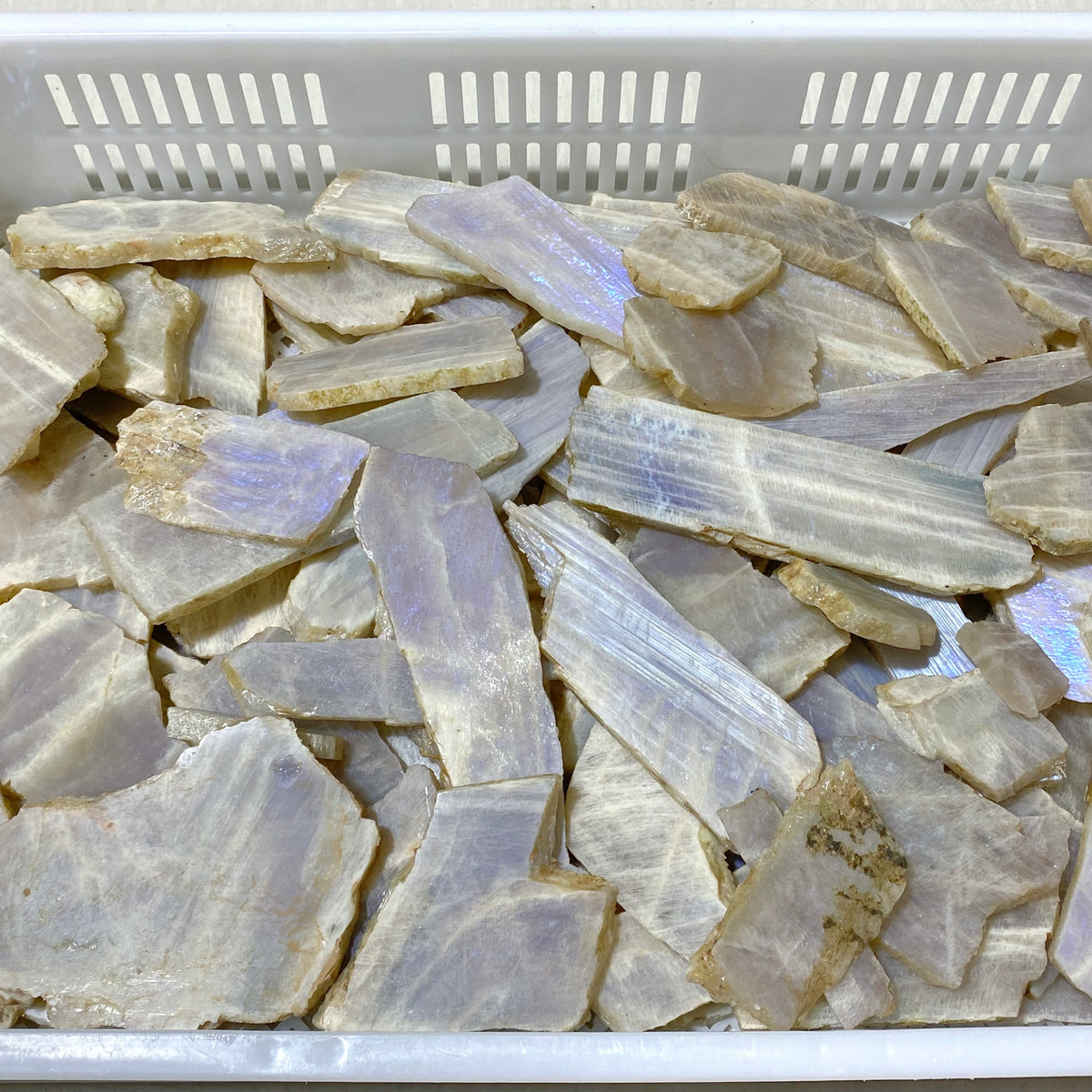 101 Pieces Blue Moonstone Slabs (Sea Freight Only)