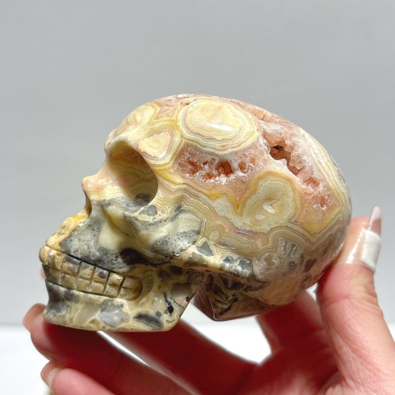 9 Pieces Beautiful Crazy Agate Skull Carving - Wholesale Crystals