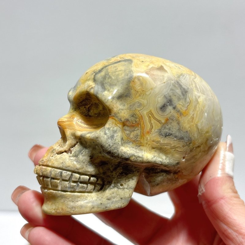 9 Pieces Beautiful Crazy Agate Skull Carving - Wholesale Crystals