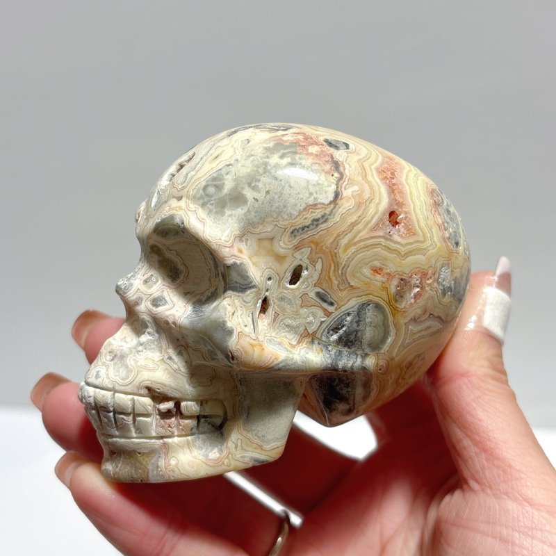 9 Pieces Beautiful Crazy Agate Skull Carving - Wholesale Crystals
