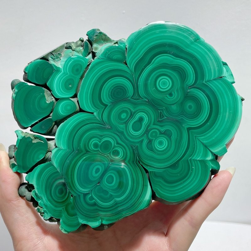 9 Pieces Polished Malachite Slab - Wholesale Crystals