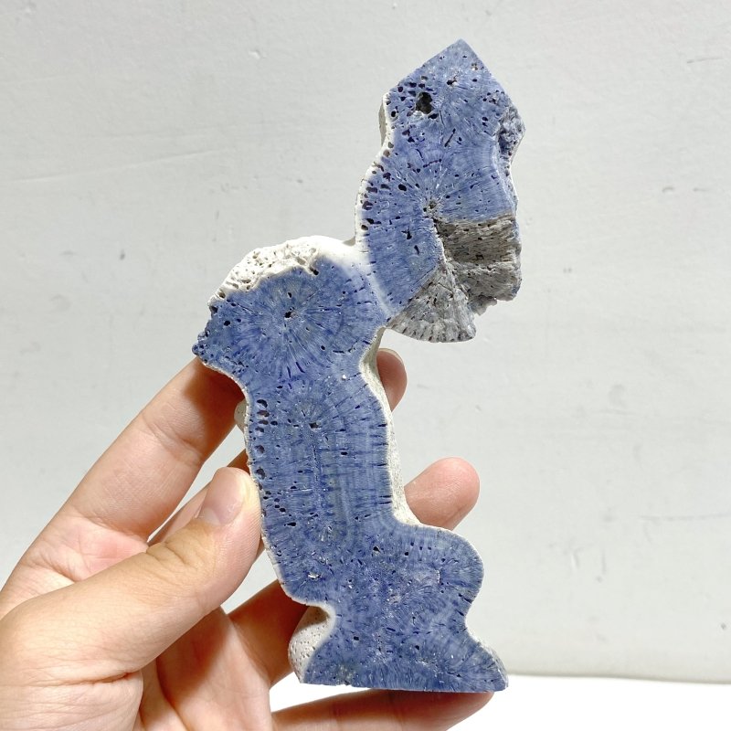 Blue Ridge Coral Heliopora Coerule Tower Point Wholesale -Wholesale Crystals