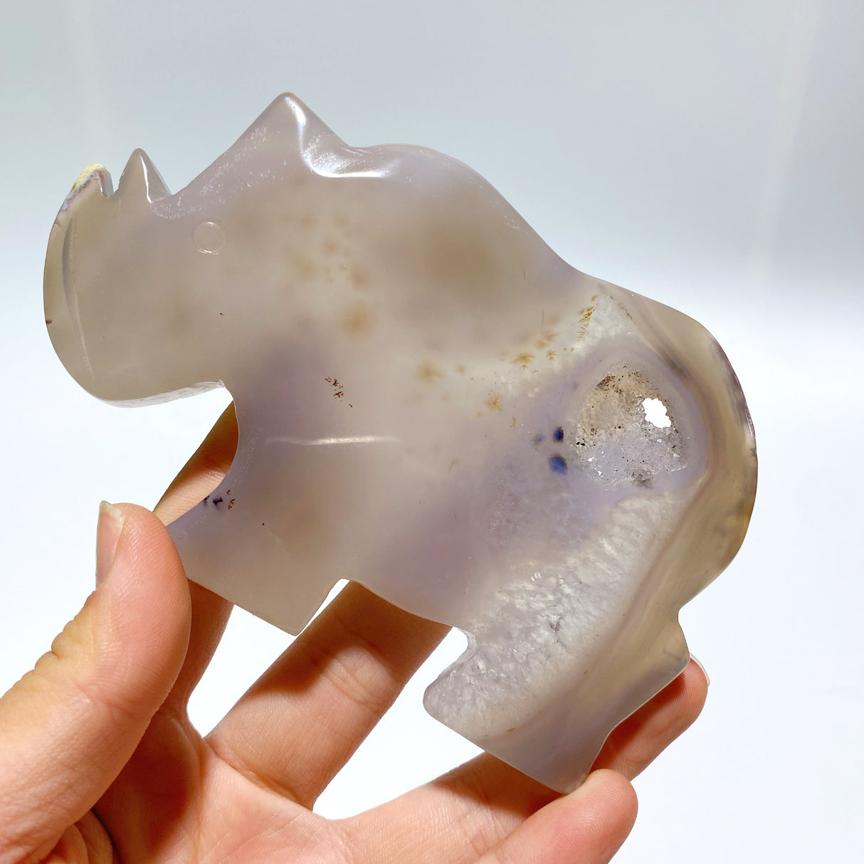 7 Pieces Geode Druzy Agate Rhino Carving