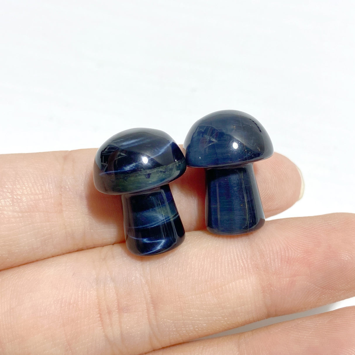 10 Types Mini Crystal Mushroom Wholesale