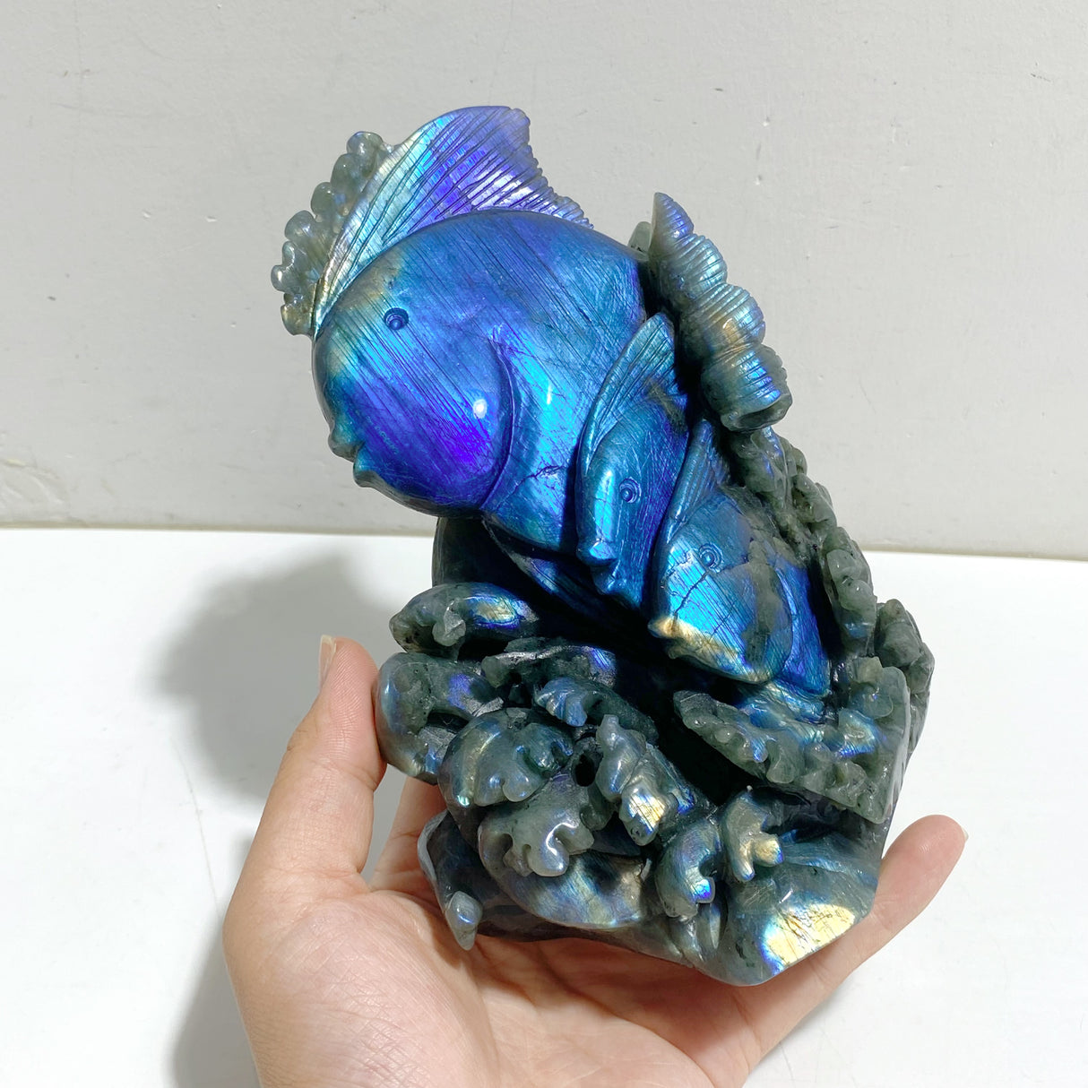 Unique Labradorite Sea Animal Carving (Defect)
