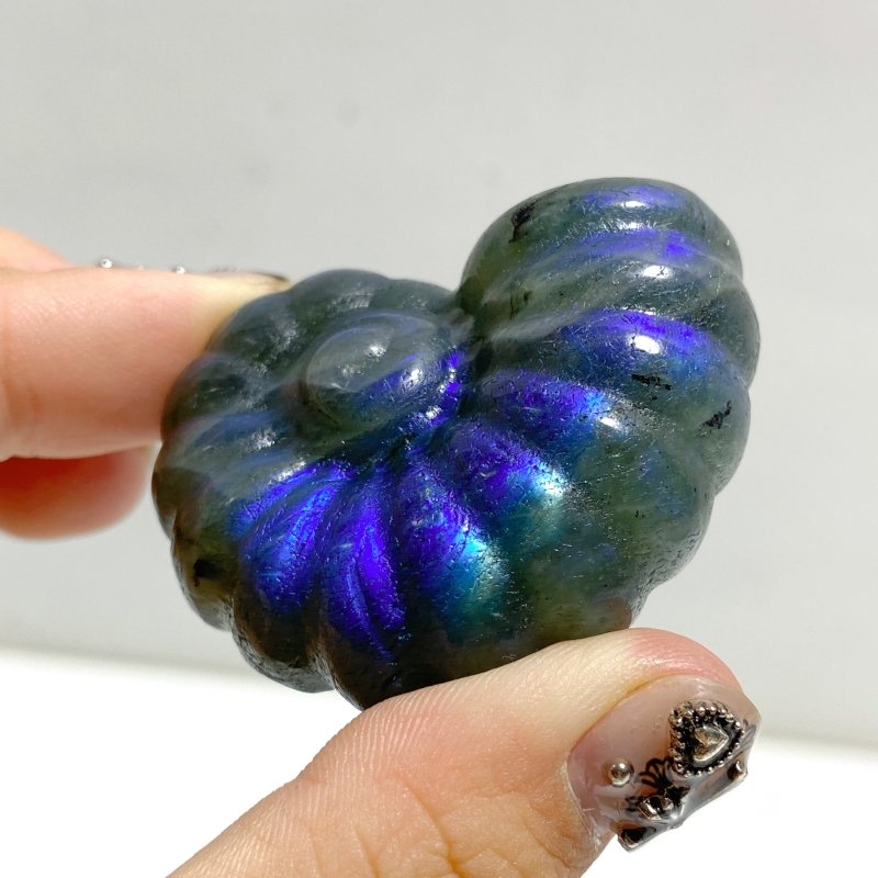 Labradorite Conch Carving Wholesale -Wholesale Crystals