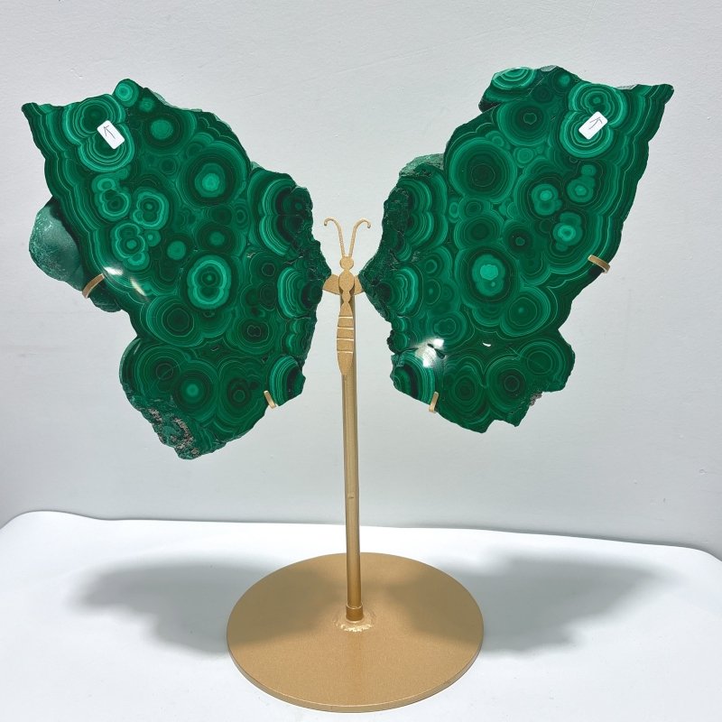 Large Polished Malachite Raw Slab Butterfly Wing With Stand(#8) - Wholesale Crystals