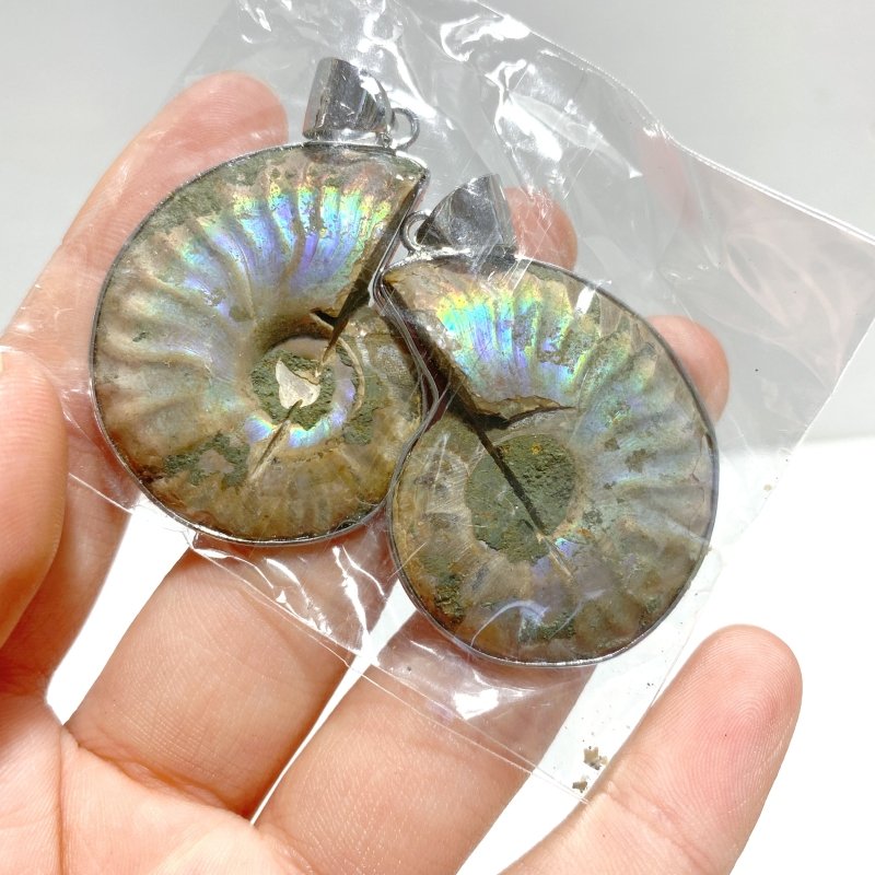 Natural Ammonite Fossil Conch Pendants Wholesale - Wholesale Crystals