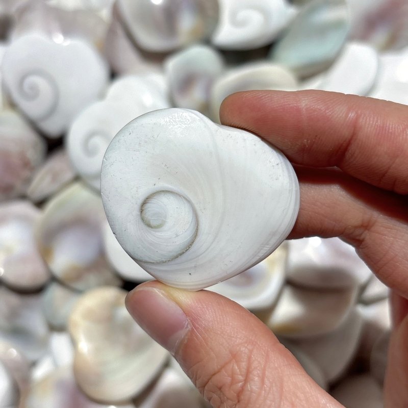 Polished Shell Fossil Heart Wholesale -Wholesale Crystals