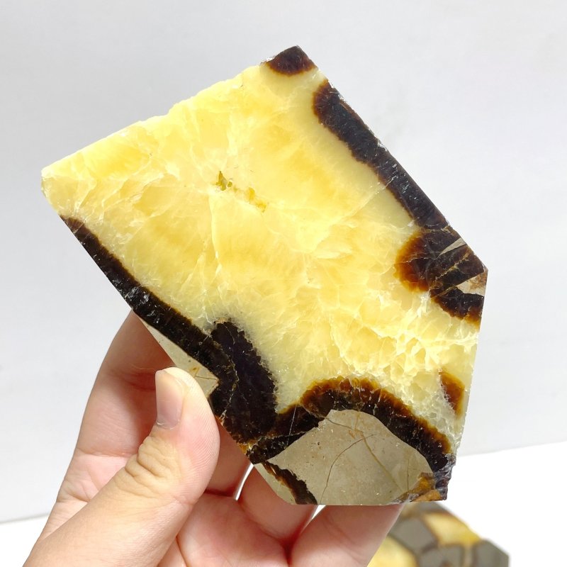 Septarian Slab Wholesale - Wholesale Crystals