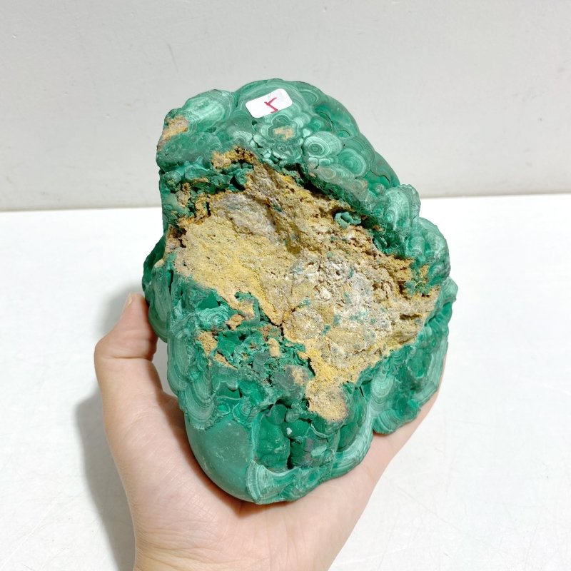 Unique Malachite Specimen Raw Bottom With Stand - Wholesale Crystals