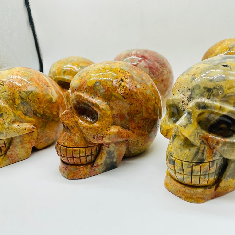 6 Pieces Crazy Agate Large Skull Carving -Wholesale Crystals