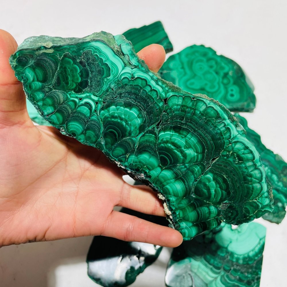 9 Pieces Large Polished Malachite Slab -Wholesale Crystals