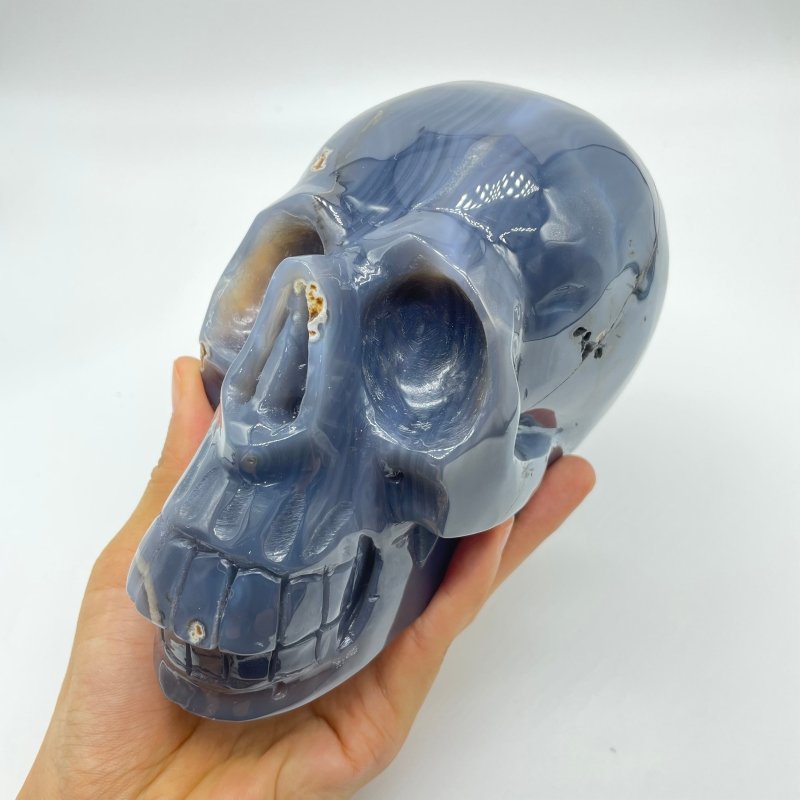 High Quality Geode Druzy Agate Large Skull -Wholesale Crystals