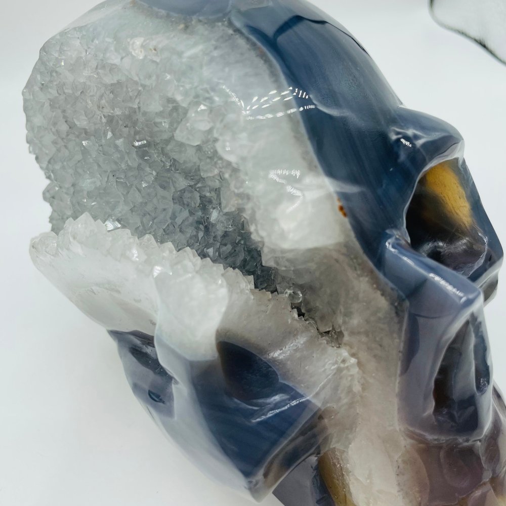 Large Geode Druzy Agate Skull -Wholesale Crystals