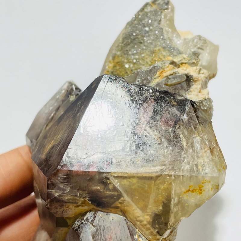 Record Keeper Enhydro Smoky Quartz Backbone Healing Energy Crystal -Wholesale Crystals
