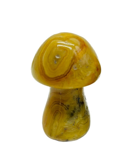 Crystal Mushrooms - crystalswholesaleusa