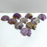 10 Pieces Amethyst Mixed Agate Turtle Carving