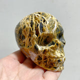 10 Pieces 6th Vein Ocean Jasper Skull Carving -Wholesale Crystals