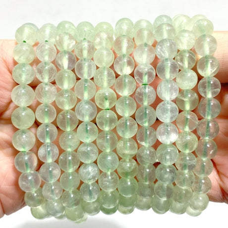 10 Pieces 8mm Prehnite Bracelets - Wholesale Crystals