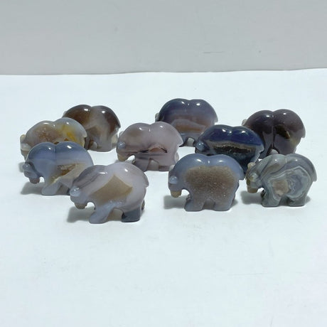 10 Pieces Beautiful Geode Druzy Agate Bear Carving - Wholesale Crystals