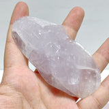 10 Pieces Beautiful Rose Quartz Sea Animals Carving - Wholesale Crystals