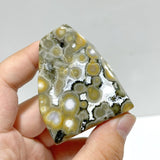 10 Pieces Big Circle 8th Vein Ocean Jasper Free Form - Wholesale Crystals