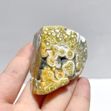 10 Pieces Big Circle 8th Vein Ocean Jasper Free Form - Wholesale Crystals