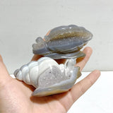 10 Pieces Geode Druzy Agate Snail Carving -Wholesale Crystals