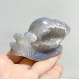 10 Pieces Geode Druzy Agate Snail Carving -Wholesale Crystals